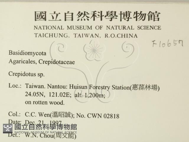 登錄號:F0010657藏品圖，第2張