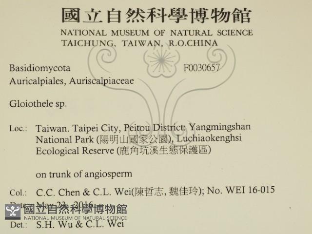 登錄號:F0030657藏品圖，第2張