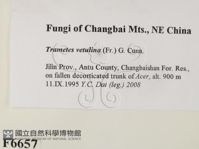 登錄號:F0006657藏品圖，第2張