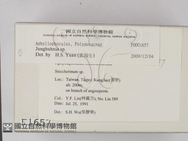 容氏菌屬藏品圖，第2張