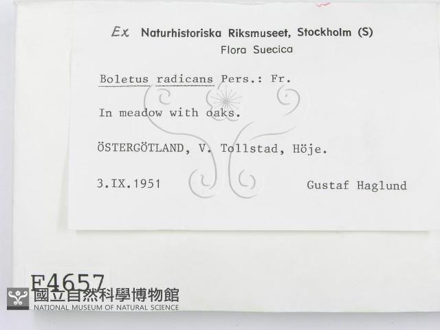 登錄號:F0004657藏品圖，第2張