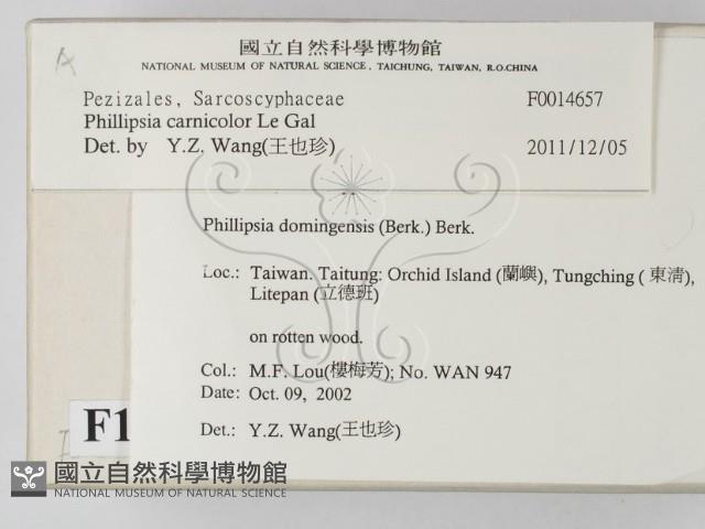 登錄號:F0014657藏品圖，第2張