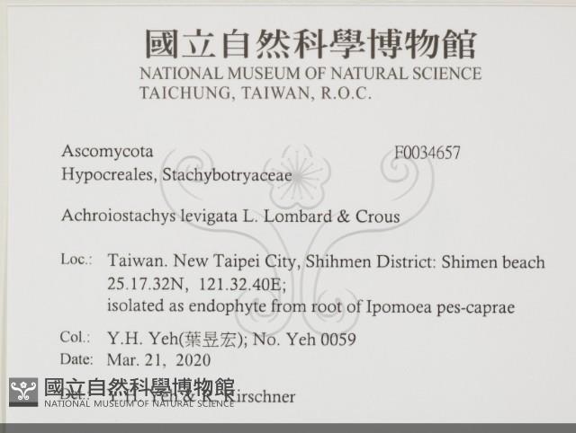 登錄號:F0034657藏品圖，第2張