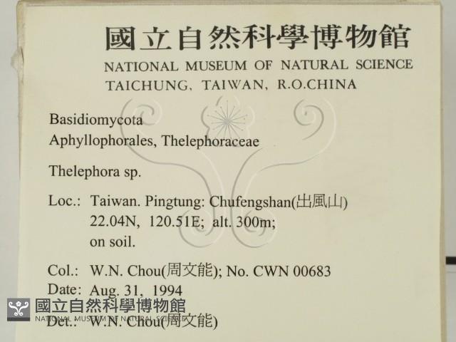 革菌屬藏品圖，第2張