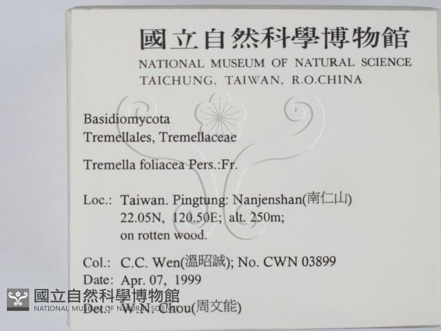 登錄號:F0012657藏品圖，第2張