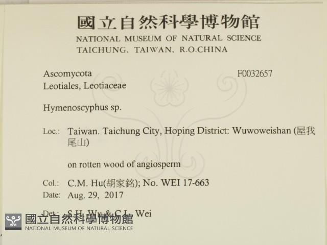 登錄號:F0032657藏品圖，第2張