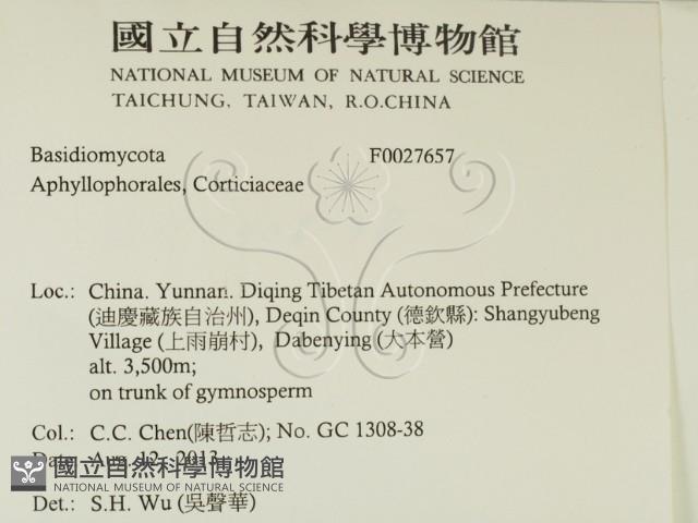 登錄號:F0027657藏品圖，第2張