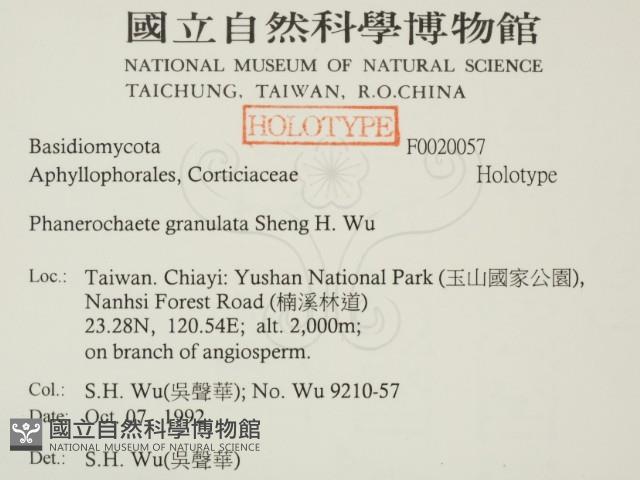 登錄號:F0007657藏品圖，第2張