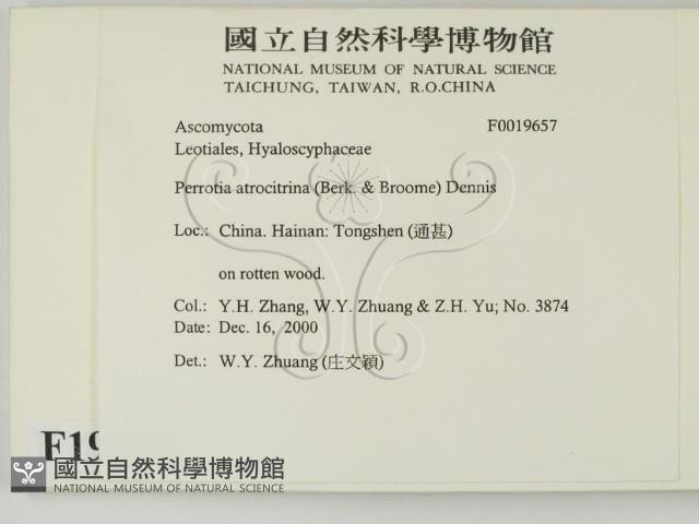 登錄號:F0019657藏品圖，第2張