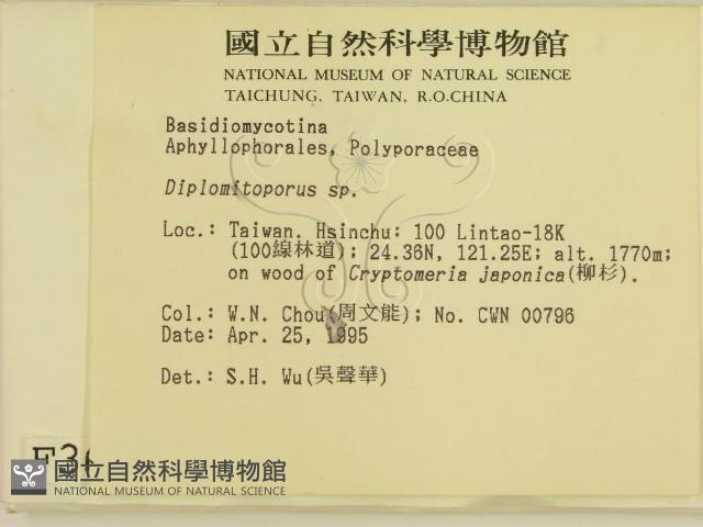 登錄號:F0003657藏品圖，第2張