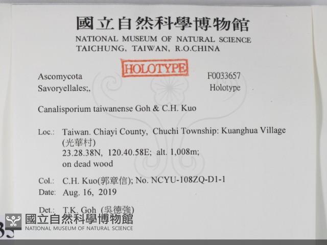 登錄號:F0033657藏品圖，第2張