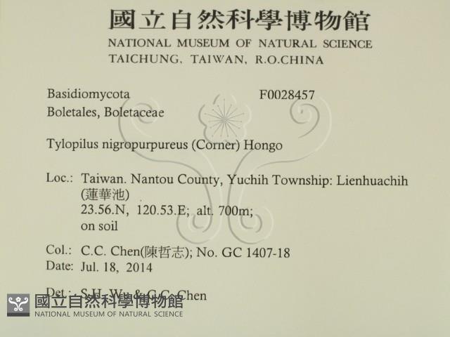 登錄號:F0028457藏品圖，第2張