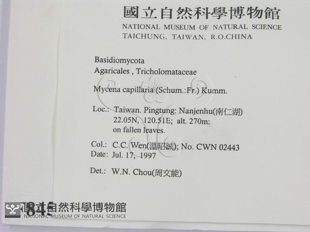 登錄號:F0008457藏品圖，第2張