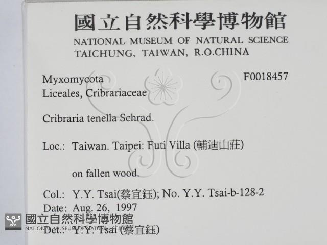 登錄號:F0018457藏品圖，第2張