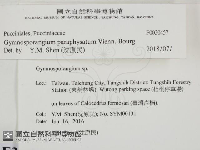 登錄號:F0030457藏品圖，第2張