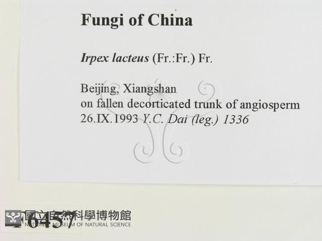 登錄號:F0006457藏品圖，第2張