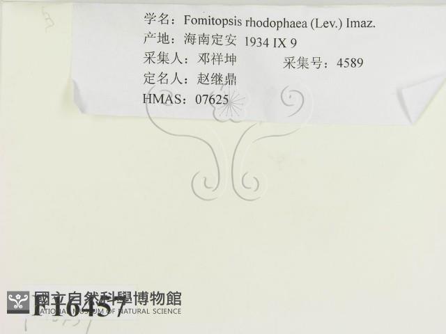 登錄號:F0016457藏品圖，第2張