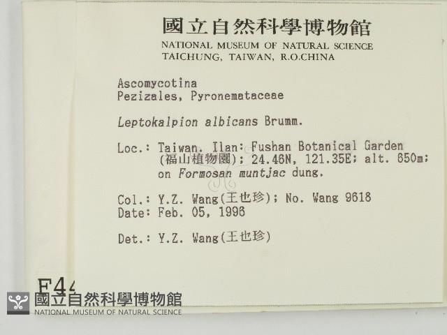 登錄號:F0004457藏品圖，第2張