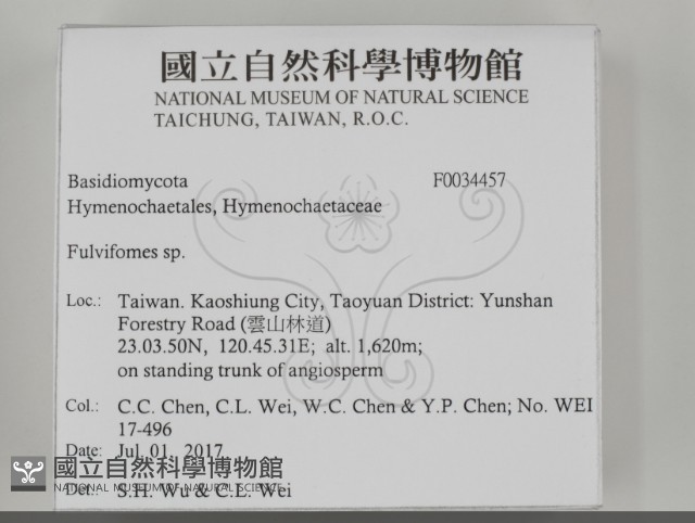 登錄號:F0034457藏品圖，第2張