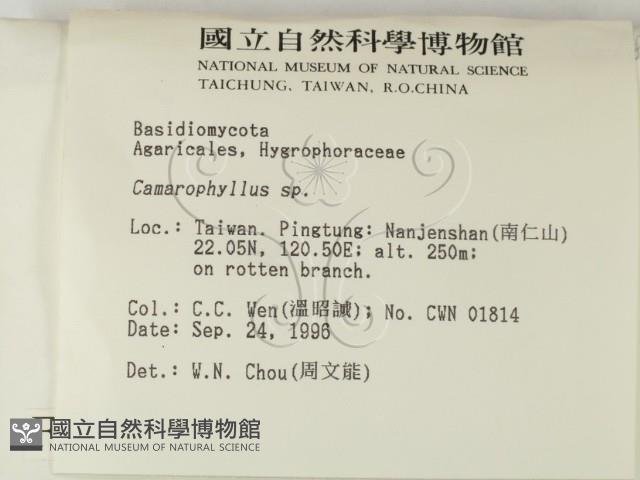 登錄號:F0005457藏品圖，第2張