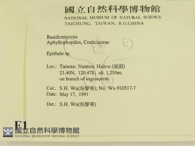 登錄號:F0015457藏品圖，第2張