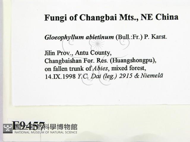 登錄號:F0009457藏品圖，第2張