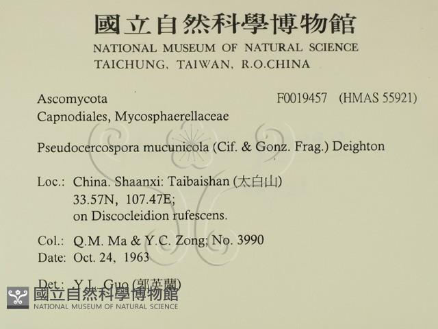 登錄號:F0019457藏品圖，第2張