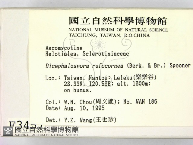 登錄號:F0003457藏品圖，第2張