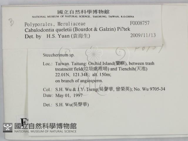 登錄號:F0008757藏品圖，第2張