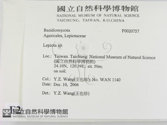 登錄號:F0020757藏品圖，第2張