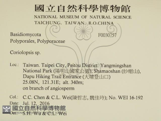 登錄號:F0030757藏品圖，第2張