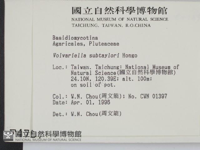 登錄號:F0004757藏品圖，第2張