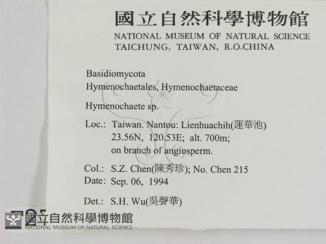 刺革菌屬藏品圖，第2張