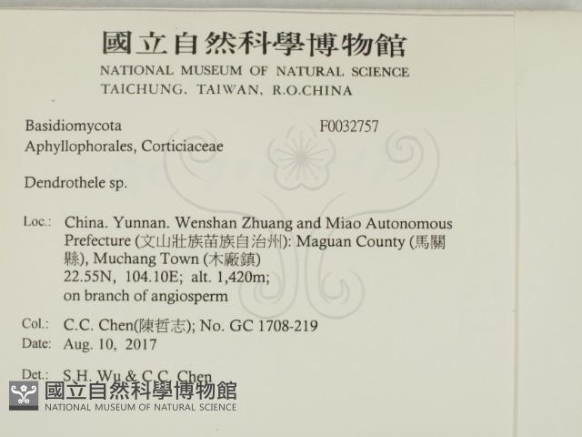 登錄號:F0032757藏品圖，第2張