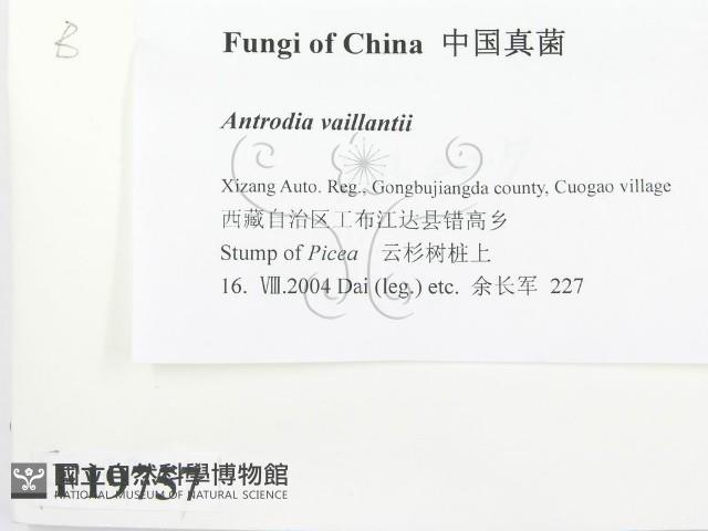 登錄號:F0019757藏品圖，第2張