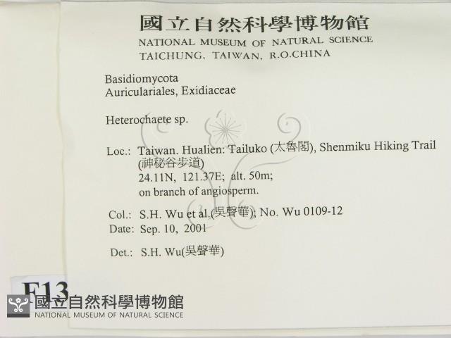 刺皮菌屬藏品圖，第2張