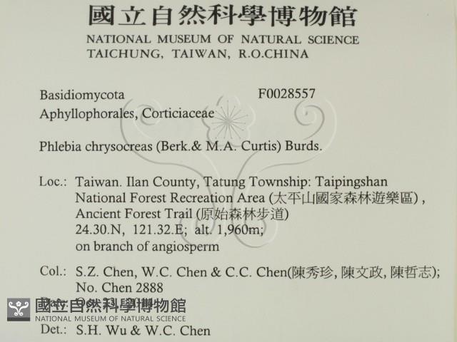 登錄號:F0028557藏品圖，第2張