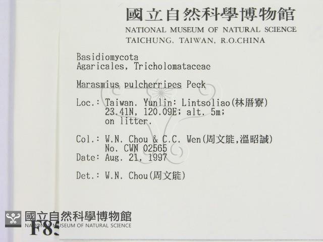 登錄號:F0008557藏品圖，第2張