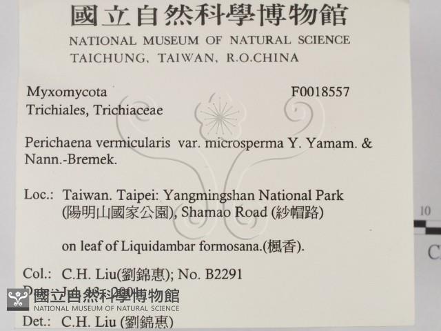 登錄號:F0018557藏品圖，第2張