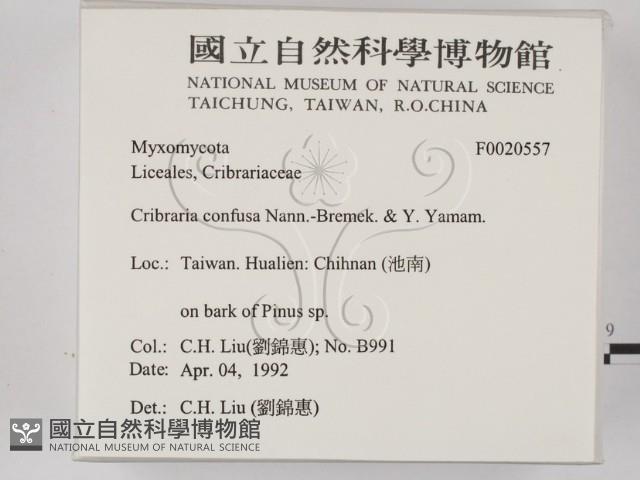 登錄號:F0020557藏品圖，第2張