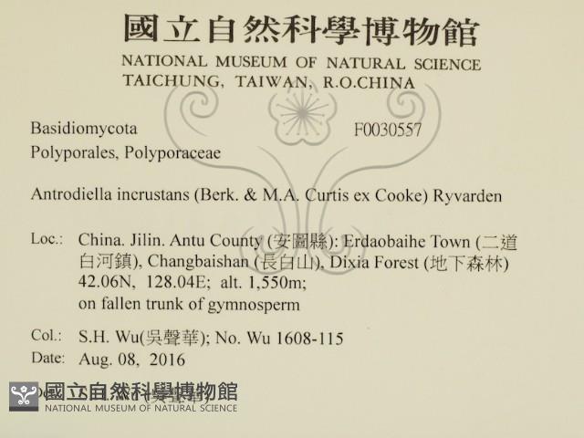 登錄號:F0030557藏品圖，第2張