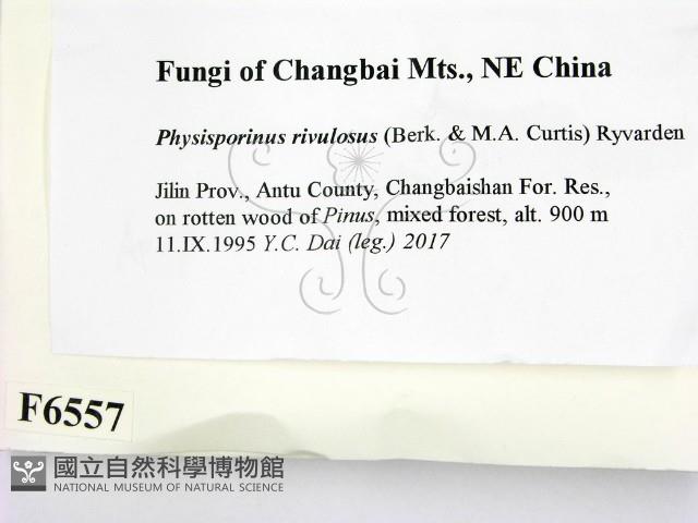 登錄號:F0006557藏品圖，第2張