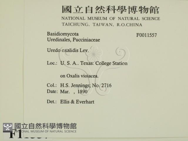 登錄號:F0011557藏品圖，第2張