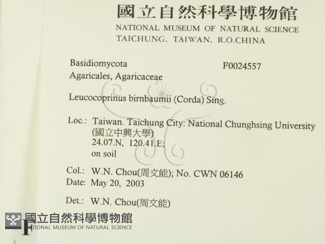 登錄號:F0024557藏品圖，第2張