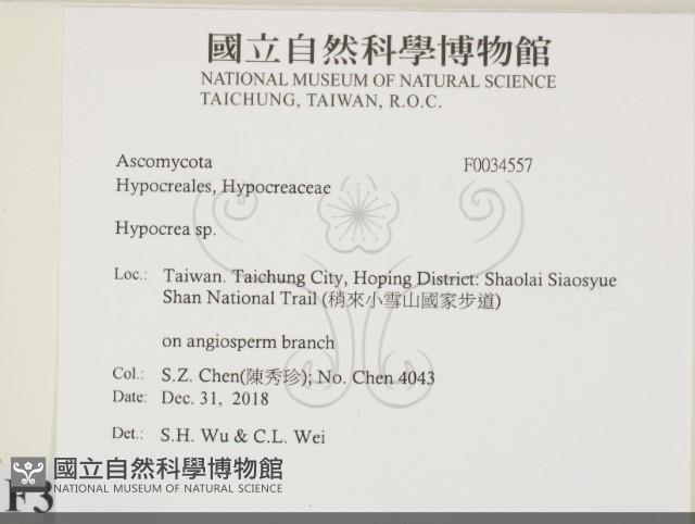 登錄號:F0034557藏品圖，第2張