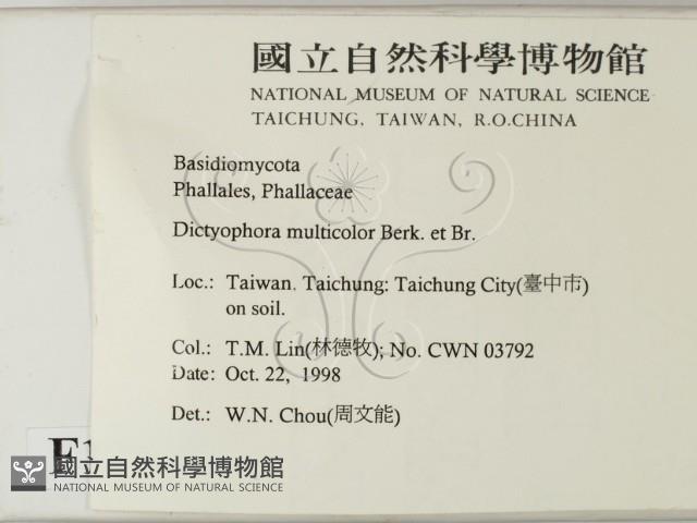 登錄號:F0012557藏品圖，第2張