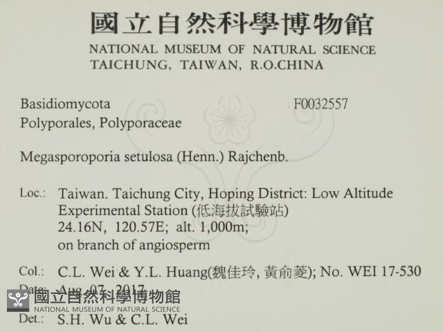 登錄號:F0032557藏品圖，第2張