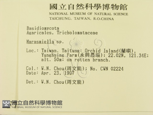 登錄號:F0007557藏品圖，第2張