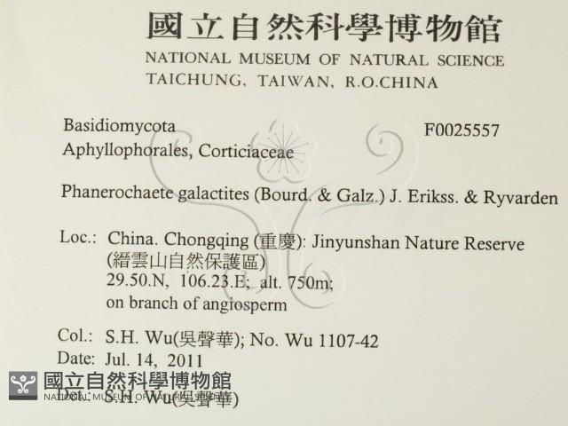 登錄號:F0025557藏品圖，第2張