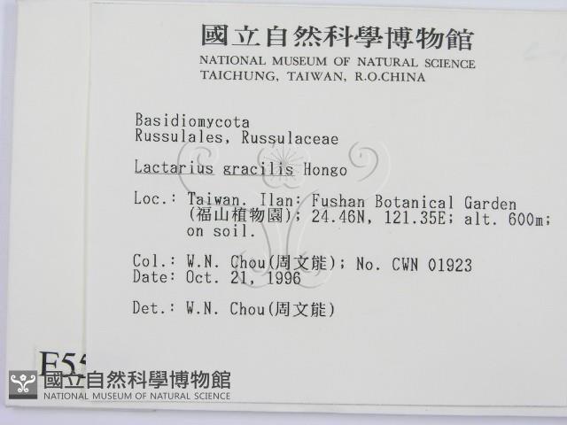 登錄號:F0005557藏品圖，第2張